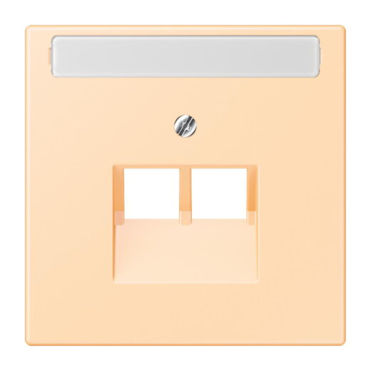 Jung Abdeckung für IAE/UAE-Anschlussdosen 2 x 8-polig, mit Schriftfeld, Thermoplast lackiert, Serie LS, ocre LC969-2NAUA223