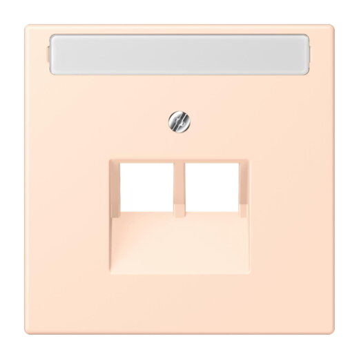 Jung Abdeckung für IAE/UAE-Anschlussdosen 2 x 8-polig, mit Schriftfeld, Thermoplast lackiert, Serie LS, rose pâle LC969-2NAUA228