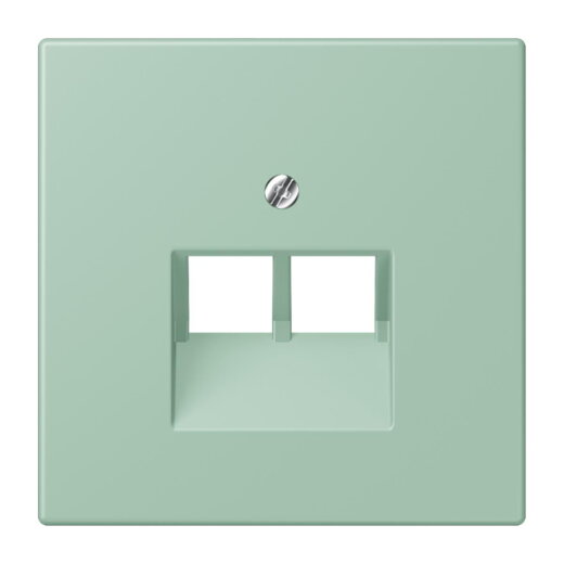 Jung Abdeckung für IAE/UAE-Anschlussdosen 2 x 8-polig, Thermoplast lackiert, Serie LS, vert anglais clair LC969-2UA217