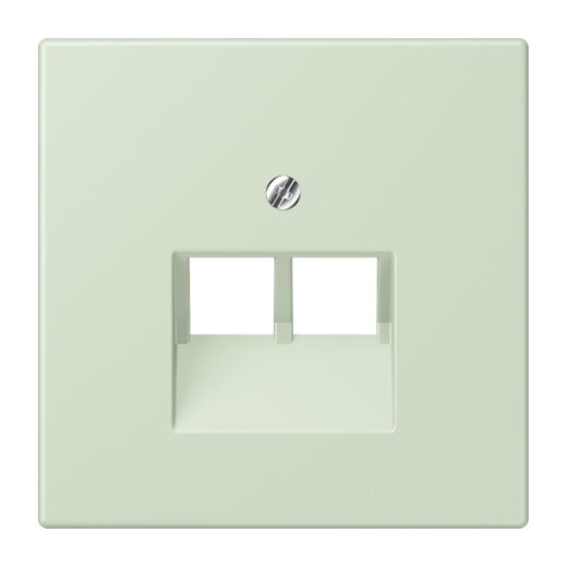 Jung Abdeckung für IAE/UAE-Anschlussdosen 2 x 8-polig, Thermoplast lackiert, Serie LS, vert anglâis pale LC969-2UA218