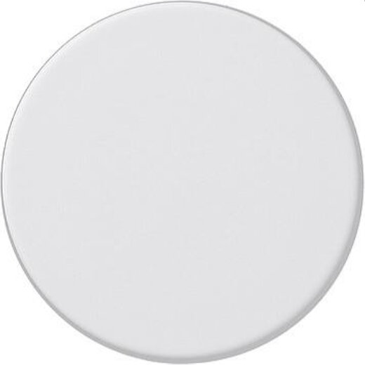 Gira Knopf 091027 System 55 reinweiss matt