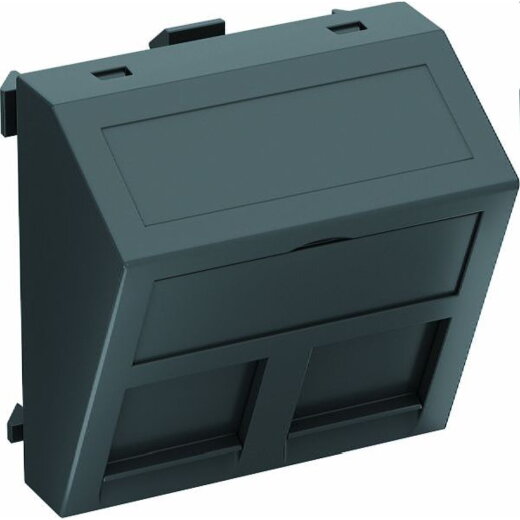 OBO Datentechnikträger DTS-2RM SWGR1 f. 2 Mod Typ RM schwarzgr.