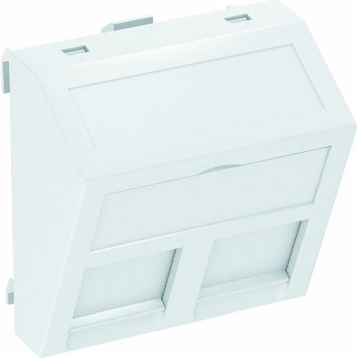 OBO Datentechnikträger DTS-2F RW1 für 2 Anschlussmodule Typ F