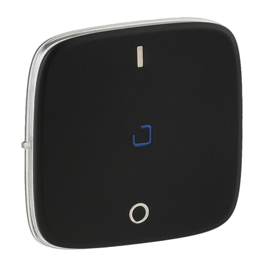 Legrand Wippe 755048 V.ALL AUSSCH.2P BEL. SW