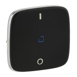 Legrand Wippe 755048 V.ALL AUSSCH.2P BEL. SW