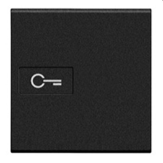 Bticino Wippe L4916M2F Schlüssel 1m anthrazit