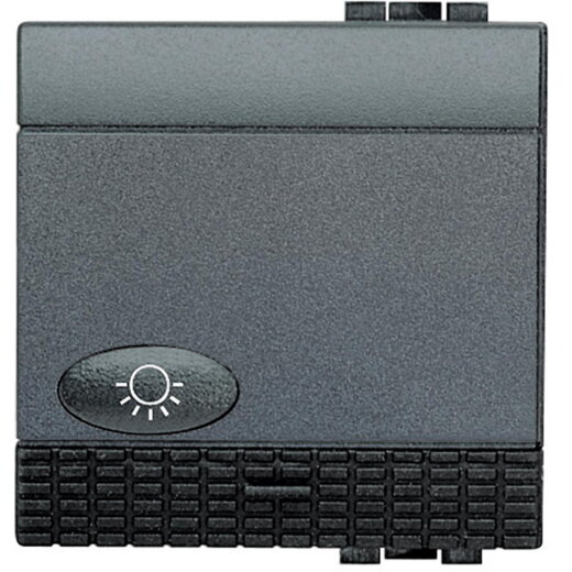 Bticino Taster L4043M2N  2m anthrazit