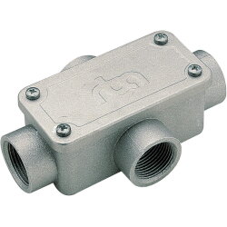 Legrand Anschlussgehäuse 387923 X G3/4"