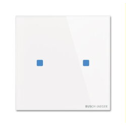 Busch-Jaeger Bedienelement TB/U2.5.11-CG 2fach