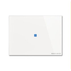 Busch-Jaeger Bedienelement TB/U1.2.11-CG 1fach