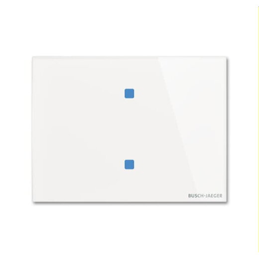 Busch-Jaeger Bedienelement TB/U2.8.11-CG 2fach