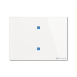 Busch-Jaeger Bedienelement TB/U2.8.11-CG 2fach