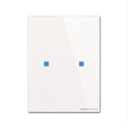 Busch-Jaeger Bedienelement TB/U2.7.11-CG 2fach