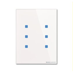 Busch-Jaeger Bedienelement TB/U6.8.11-CG 6fach