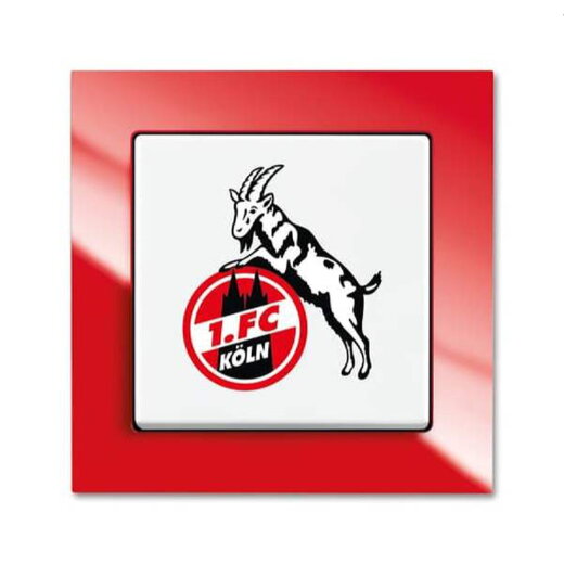 Busch-Jaeger Wechselschalter 2000/6 UJ/04 Köln