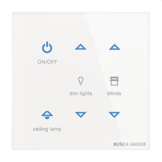 Busch-Jaeger Bedienelement TB/U6-CG 6f.
