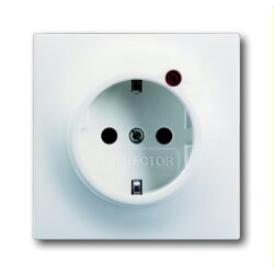 Busch-Jaeger SCHUKO-Steckdose 2310EUGL/VA-774-11...