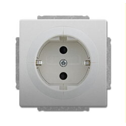 Busch-Jaeger Steckdose 20 EUAB-866 Edelstahl