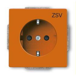 Busch-Jaeger SCHUKO-Steckdoseneinsatz 20 EUCB-14-82-10 or...