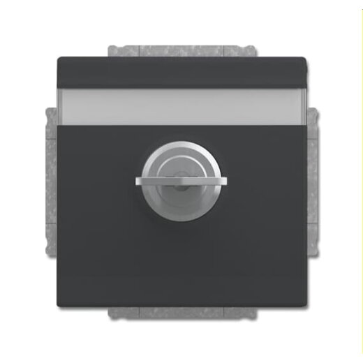 Busch-Jaeger Steckdoseneinsatz 20 EUKNBSL-81-101 anthrazit