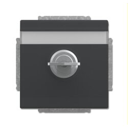 Busch-Jaeger Steckdoseneinsatz 20 EUKNBSL-81-101 anthrazit