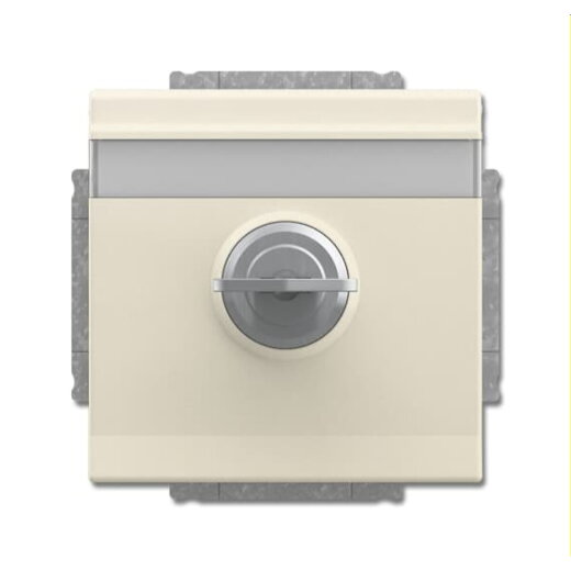 Busch-Jaeger Steckdoseneinsatz 20 EUKNBSL-82 elfenbeinweiß