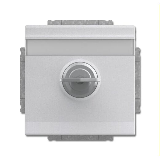 Busch-Jaeger Steckdoseneinsatz 20 EUKNBSL-83-101 aluminiumsilber