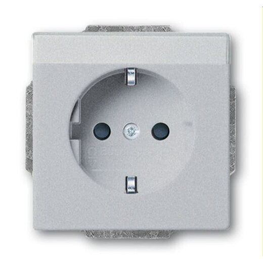 Busch-Jaeger SCHUKO-Steckdoseneinsatz 20 EUCNB-83 aluminiumsilber