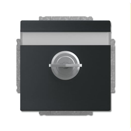 Busch-Jaeger Steckdoseneinsatz 20 EUKNBSL-885-101 schwarz matt