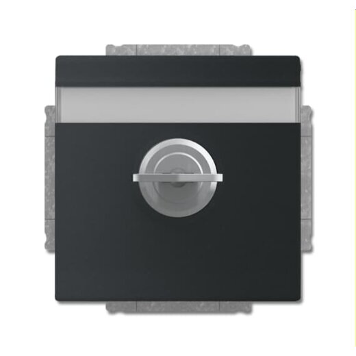 Busch-Jaeger Steckdoseneinsatz 20 EUKNBSL-885 schwarz matt