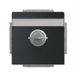 Busch-Jaeger Steckdoseneinsatz 20 EUKNBSL-885 schwarz matt