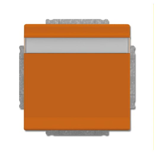 Busch-Jaeger Steckdoseneinsatz 20 EUKNB-14-82 orange RAL 2004