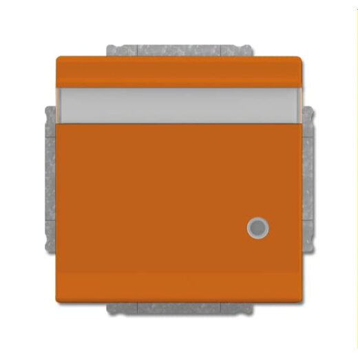 Busch-Jaeger Steckdoseneinsatz 20 EUKNBL-14-82 orange RAL 2004