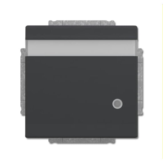 Busch-Jaeger Steckdoseneinsatz 20 EUKNBL-81 anthrazit