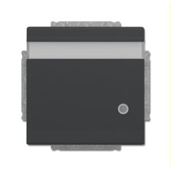 Busch-Jaeger Steckdoseneinsatz 20 EUKNBL-81 anthrazit