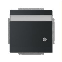 Busch-Jaeger Steckdoseneinsatz 20 EUKNBL-885 schwarz matt