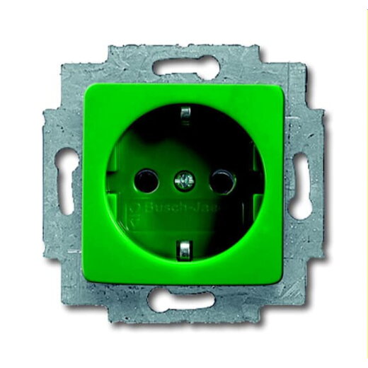 Busch-Jaeger Steckdoseneinsatz 20 EUCQ-13-212-101 SI 50x50mm gr RAL6032