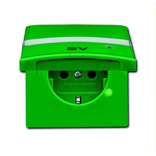 Busch-Jaeger Steckdoseneinsatz 20 EUGKBLN-13-102 grün RAL 6032