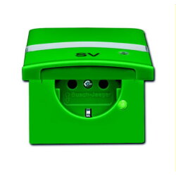 Busch-Jaeger Steckdoseneinsatz 20 EUGKBLN-13-102...