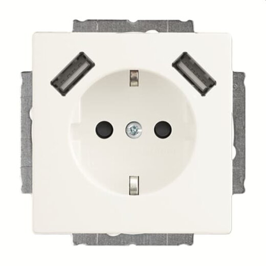 Busch-Jaeger SCHUKO-Doppel-Steckdose 20 EUCB2USB-884 2x USB studioweiß matt
