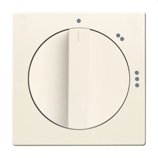 Busch-Jaeger Zentralscheibe 2542 DR/02-82 elfenbeinweiß