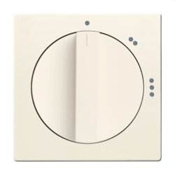 Busch-Jaeger Zentralscheibe 2542 DR/02-82...