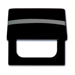 Busch-Jaeger Zwischenring 2118 GKN-31 AW44 braun