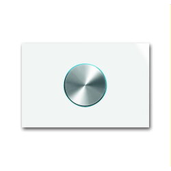 Busch-Jaeger Bedienelement 6341-24G-101 1fach...