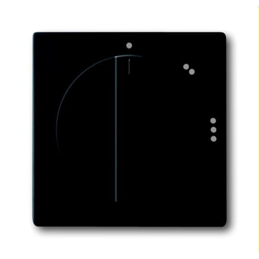 Busch-Jaeger Zentralscheibe 2542 DR/02-885 schwarz matt