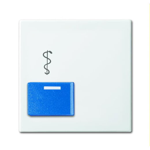 Busch-Jaeger Zentralscheibe 2548-022 AR-914 alpinweiß