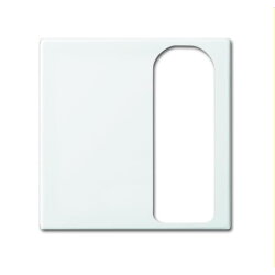 Busch-Jaeger Zentralscheibe 1790-595-914 alpinweiß