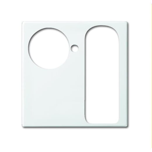 Busch-Jaeger Zentralscheibe 1790-594-914 alpinweiß