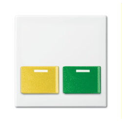 Busch-Jaeger Zentralscheibe 2548-642 E-914 alpinweiß