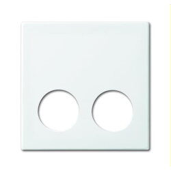 Busch-Jaeger Zentralscheibe 2548-020 D-914 alpinweiß